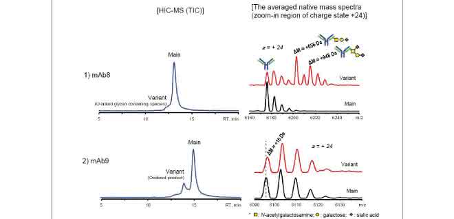 Chromatogramme und Massenspektren der MAb-Varianten, induziert durch PTM