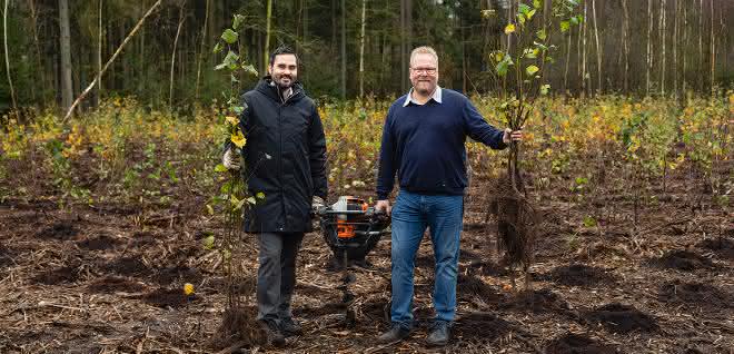 Still hat bald einen eigenen Wald Still hat bald einen eigenen Wald