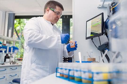 Im Labor: Labor-Mitarbeiter bei der Arbeit