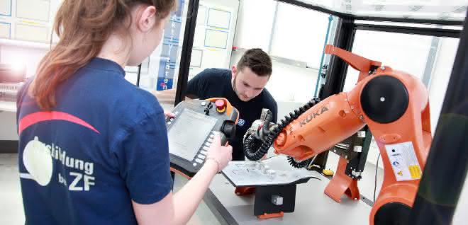 Robot arm and programming persons