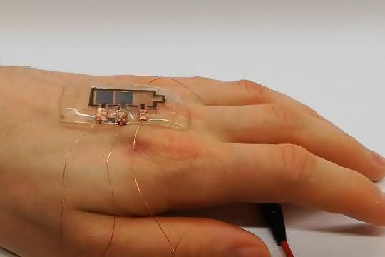 Bioabbaubares Display auf Hand