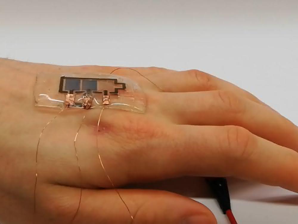 Bioabbaubares Display auf Hand
