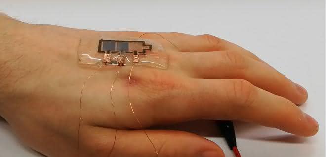 Das bioabbaubare Display kann direkt auf der Hand getragen werden Bioabbaubares Display auf Hand