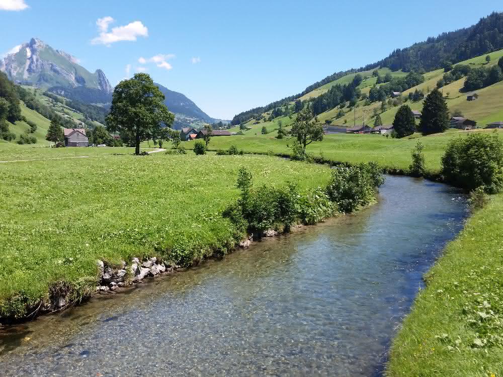 In der Thur wurden Umwelt-DNA-Proben entnommen Fluss Thur