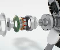 Exoskelett Exoskelett
