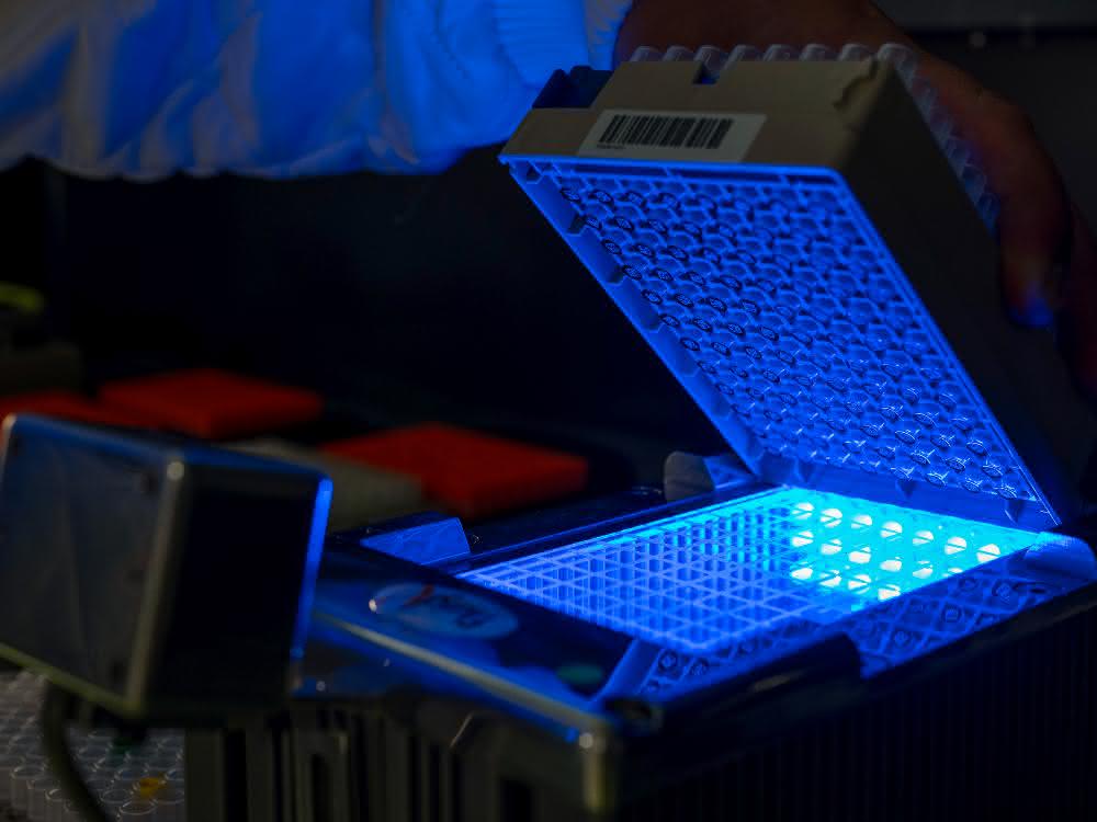 Das Team der Integrierten Biobank Jena am UKJ entwickelt Qualitätstests für flüssige Bioproben. Testaufbau