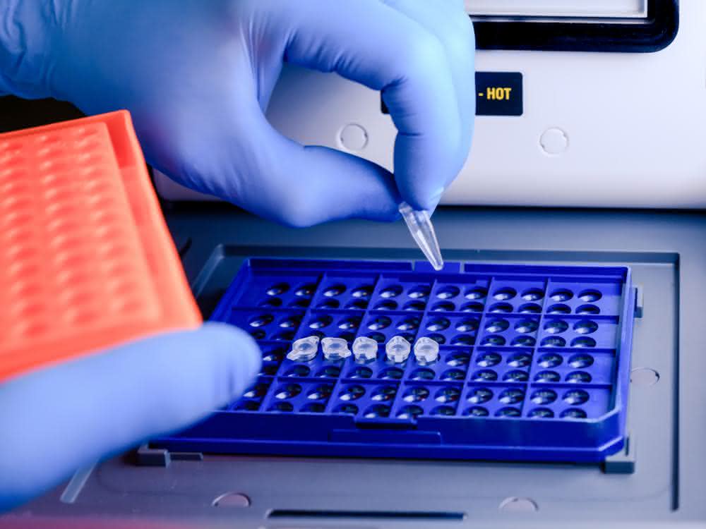 Behandschuhte Hand befüllt PCR-Thermocycler