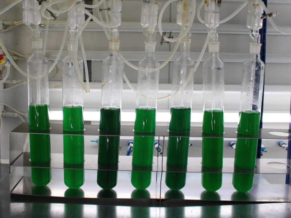 Photobioreaktoren