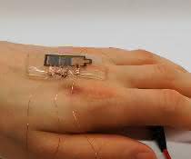 Hand with biodegradable display
