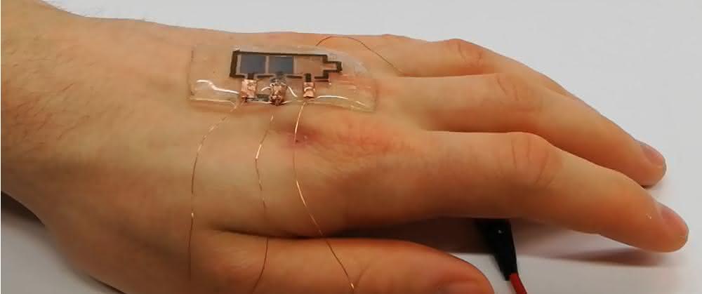 Bioabbaubares Display Hand mit bioabbaubarem Display