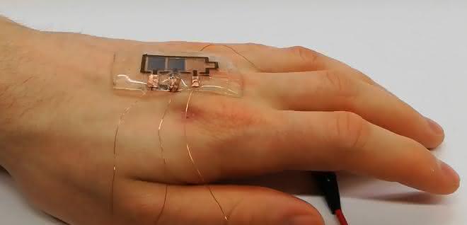 Hand with biodegradable display