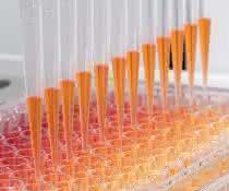 Automatisiertes Pipettieren