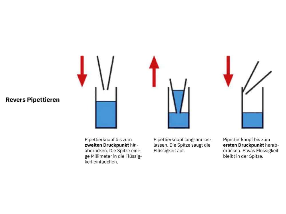 Korrektere Ergebnisse erzielen mit reversem Pipettieren Grafik reverses Pipettieren