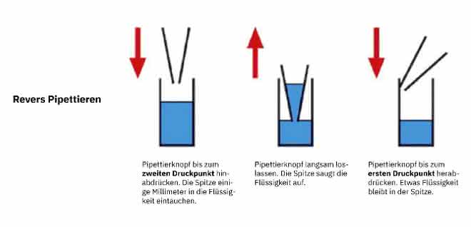Korrektere Ergebnisse erzielen mit reversem Pipettieren Grafik reverses Pipettieren