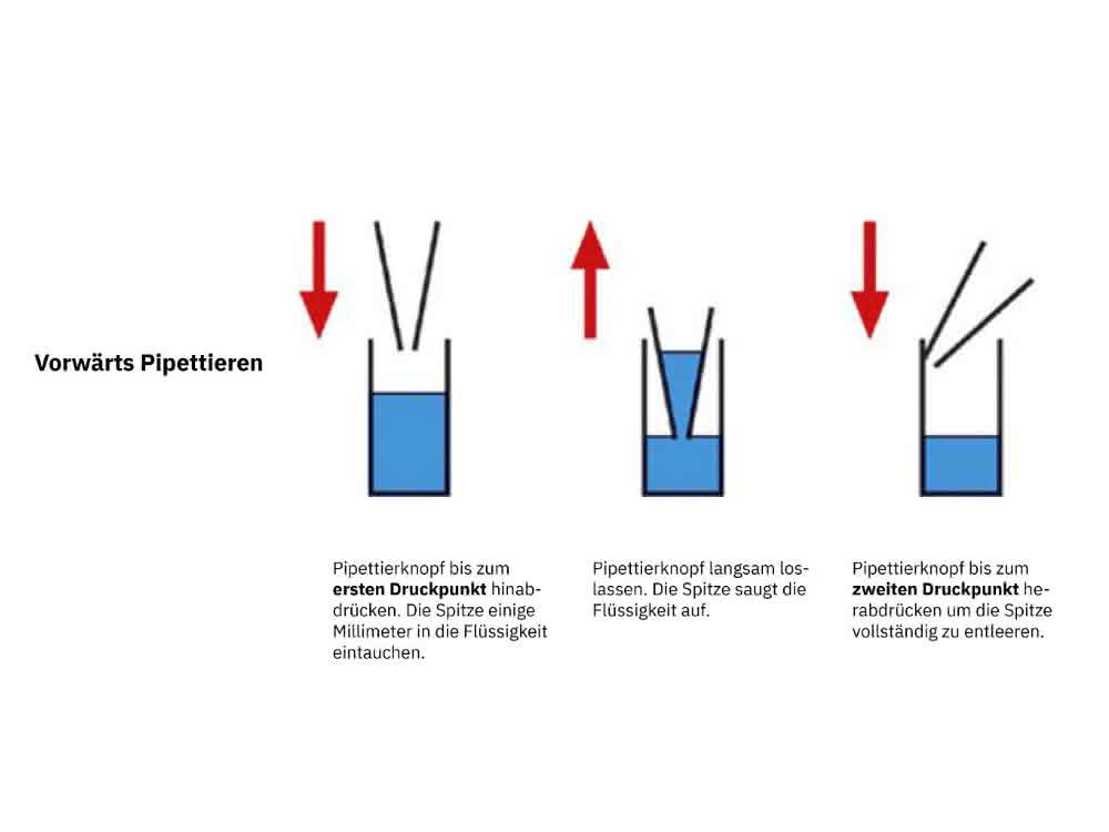 Grafik vorwärts Pipettieren
