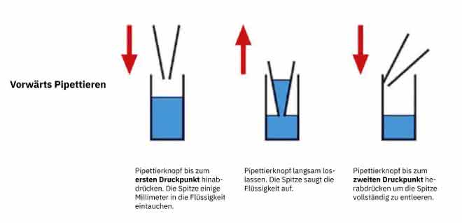 Grafik vorwärts Pipettieren Grafik vorwärts Pipettieren