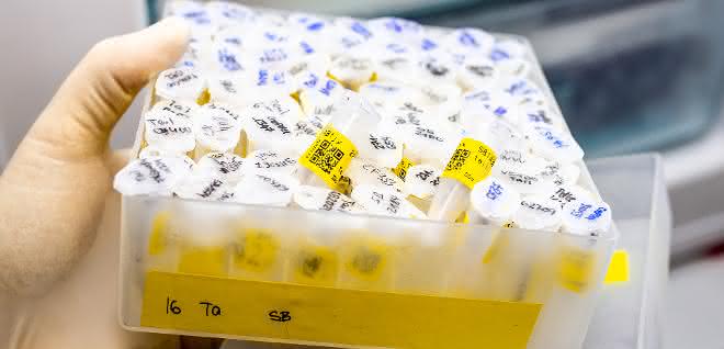 Tiefgekühlte Proben im Behälter