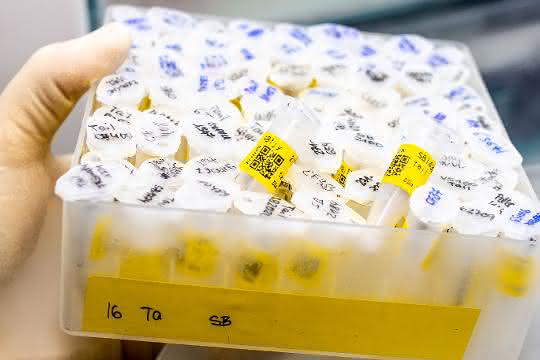 Tiefgekühlte Proben im Behälter