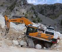 Bagger: Ein robuster 52-Tonner