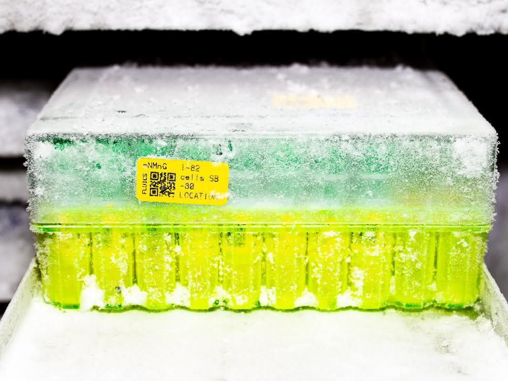 Cryoboxen