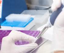 Pipettiervorgang, Laborutensilien auf Labortisch