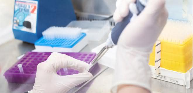 Am Ulmer Institut für Molekulare Virologie wird ein Labor-Experiment vorbereitet. Pipettiervorgang, Laborutensilien auf Labortisch