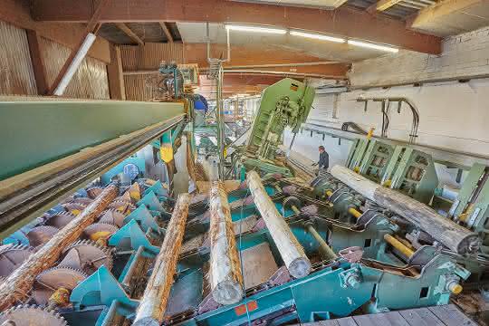 Rising timber prices pose a challenge for pallet logistics