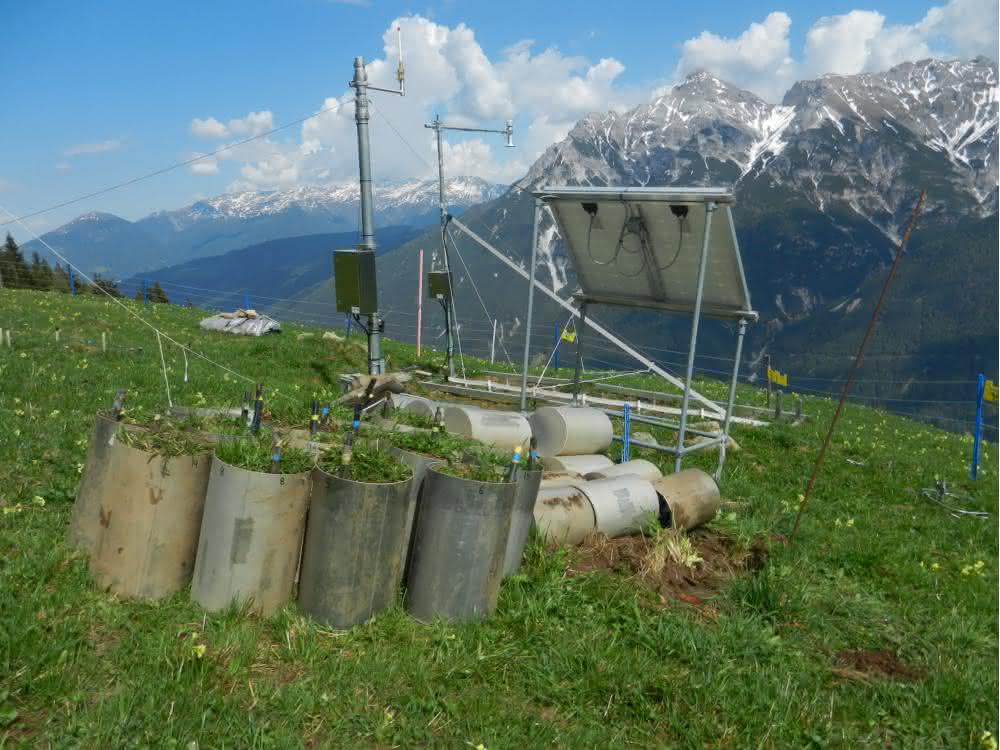 Kaserstattalm im Tiroler Stubaital Grünlandmonolithe