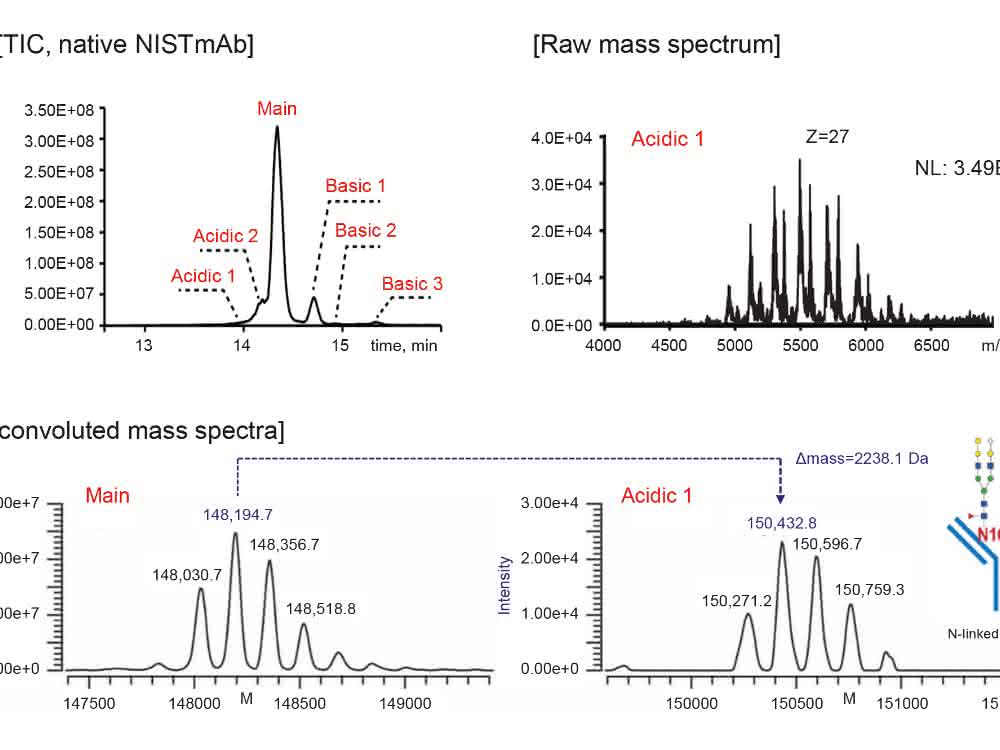 Bild 1 Chromatogramm und Massenspektren NIST MAbs