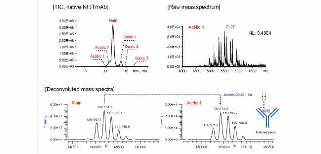Chromatogramm und Massenspektren NIST MAbs