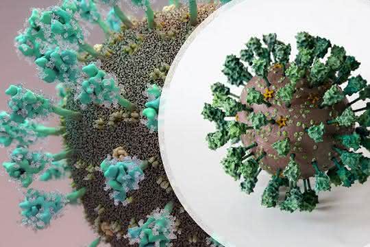 Coronavirusmodell