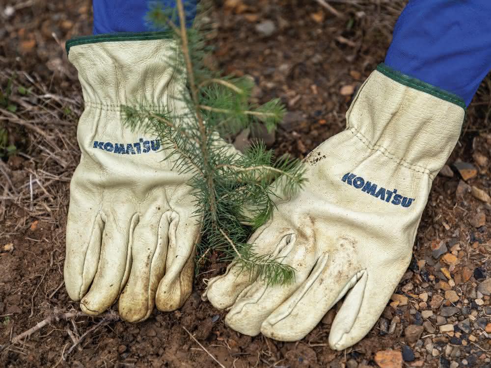 100.000 Bäume von Komatsu