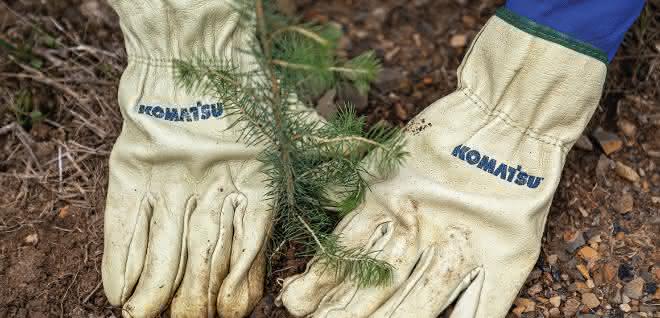 100.000 Bäume von Komatsu