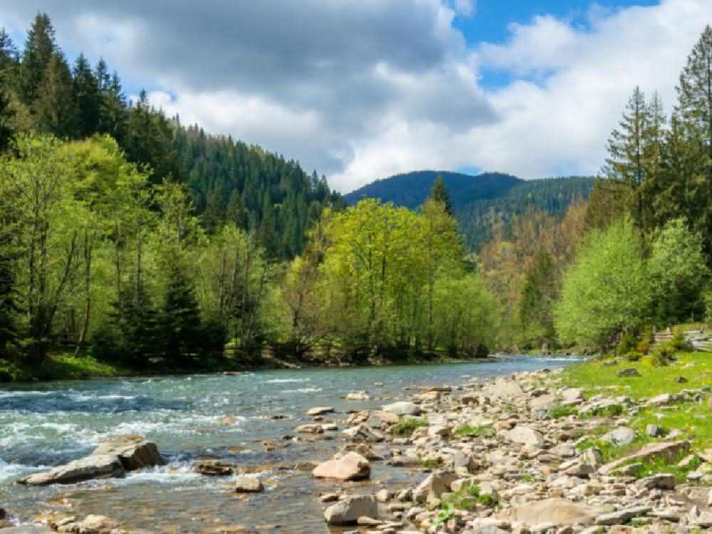 Ausschreibung: Umweltmanagement-Preis soll vergeben werden Landschaft mit Fluss
