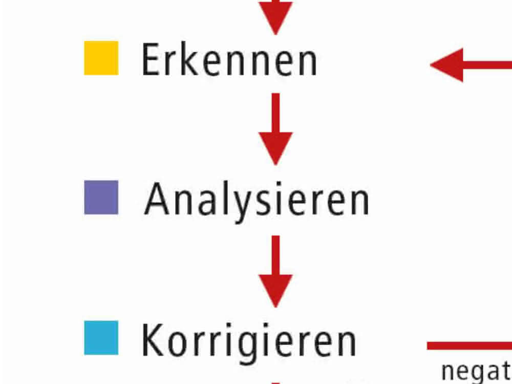 Fließschema für das Troubleshooting. Fließschema für das Troubleshooting.