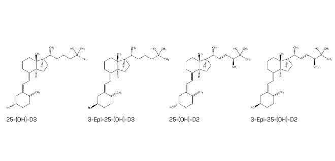 Bild 2: Strukturen von 25-Hydroxyvitamin D2 und D3 und ihrer jeweiligen Epimere.