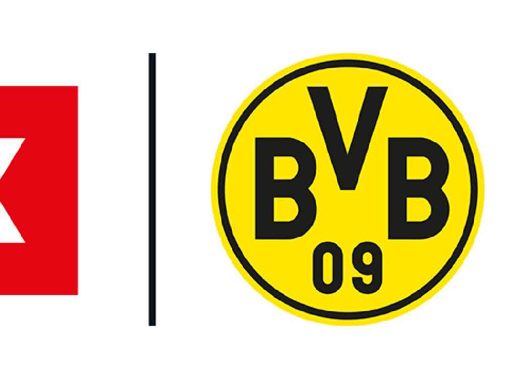 FLEX ist neuer BVB-Partner