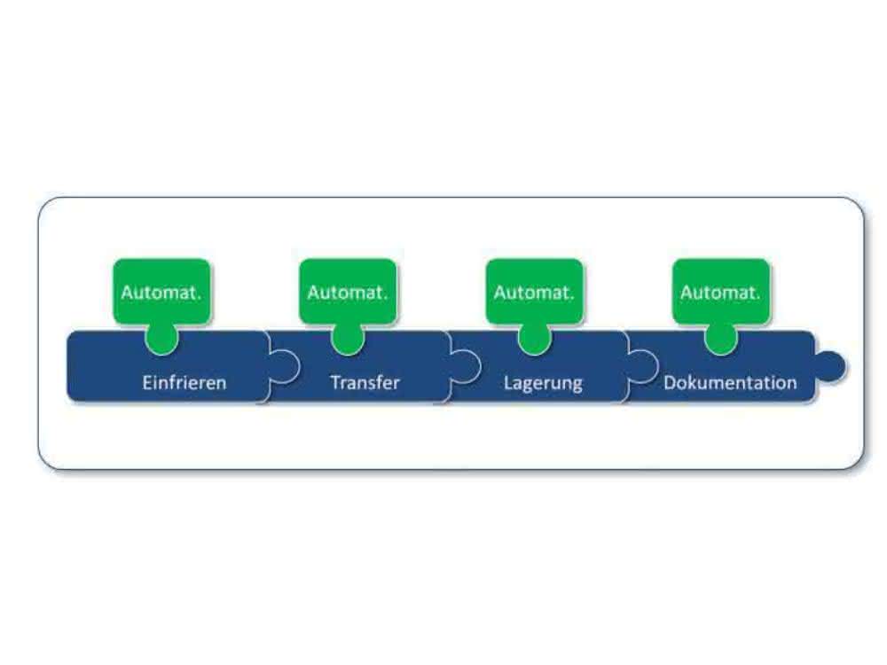 Grafik zu Probenhandlingprozessen in Biobanken