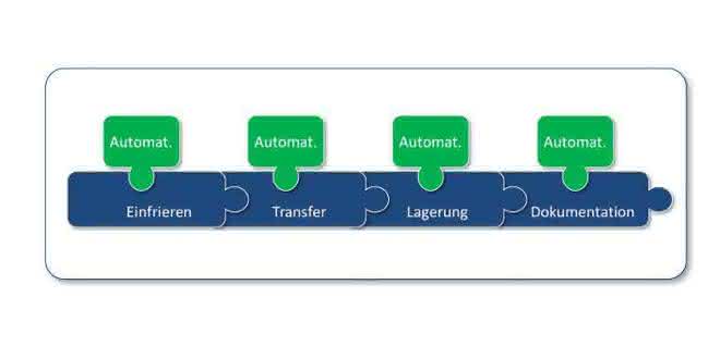 Grafik zu Probenhandlingprozessen in Biobanken