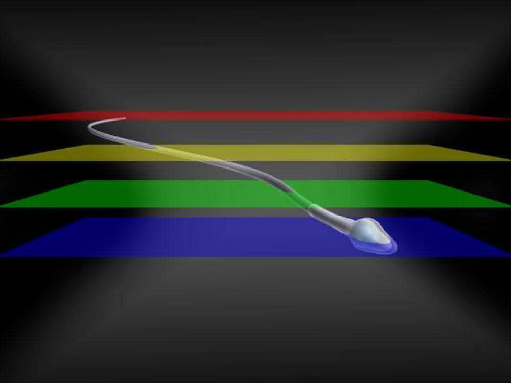 Grafik zur Bildanalyse Grafik zur Bildanalyse