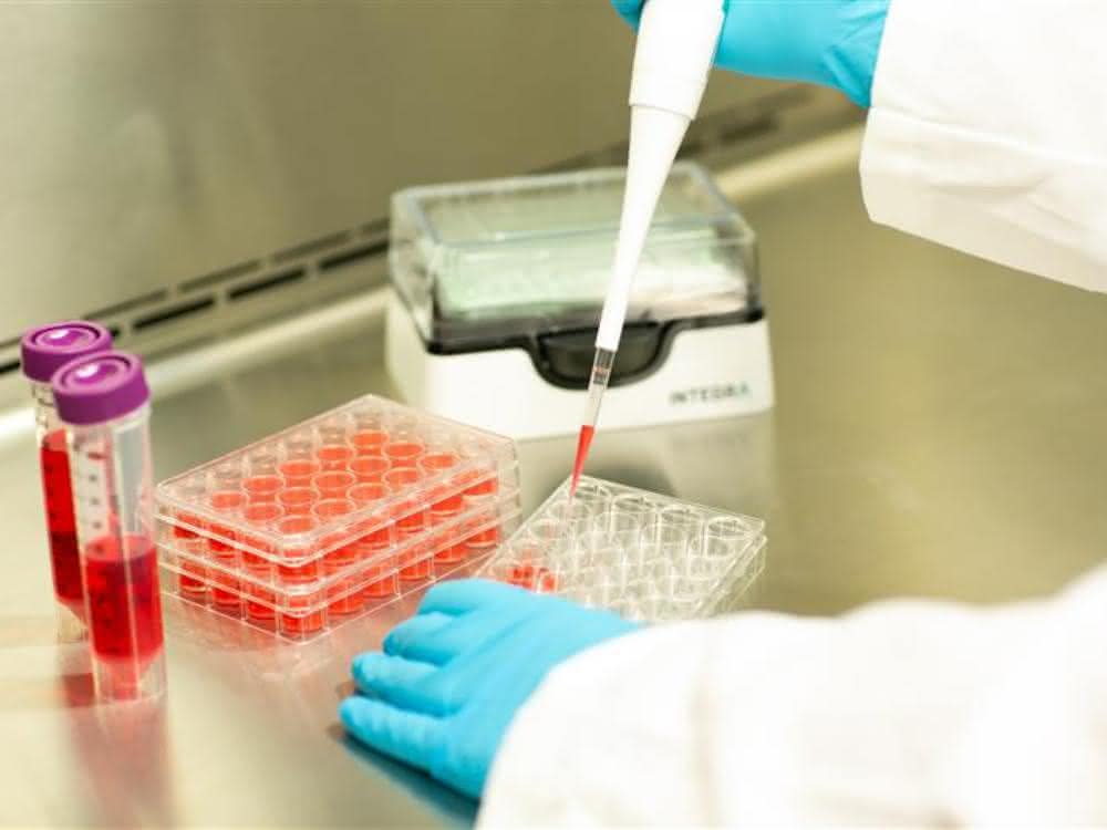 Pipettiervorgang im Labor