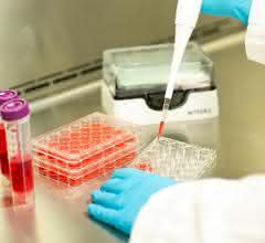 Pipettiervorgang Pipettiervorgang im Labor