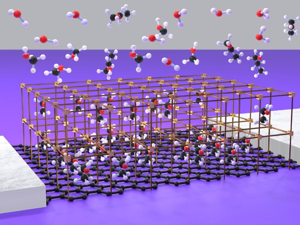 Graphen-Transistor mit metallorganischer Beschichtung: Sensor für Gasmoleküle Graphische Darstellung zur Herstellung des Sensors