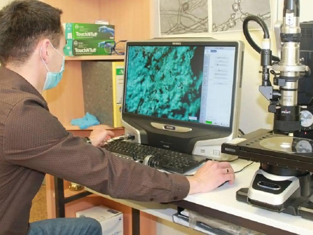 Mariner Schwamm als Basis: Verbundwerkstoff mit Potenzial