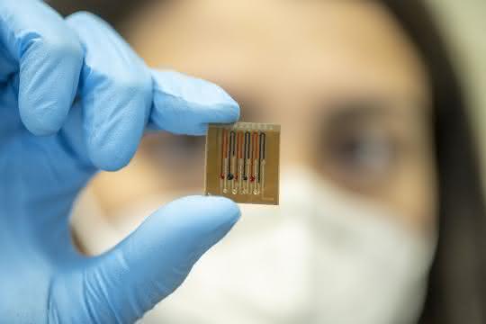Person zeigt den Mikrofluidik-Biosensor