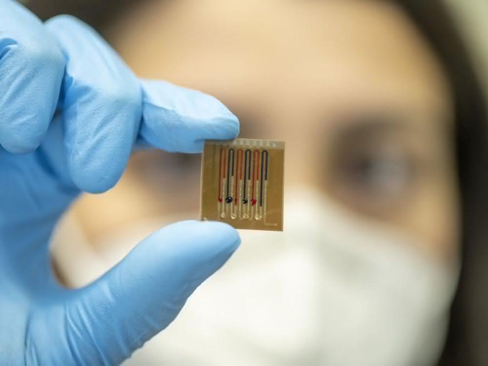 Person zeigt den Mikrofluidik-Biosensor