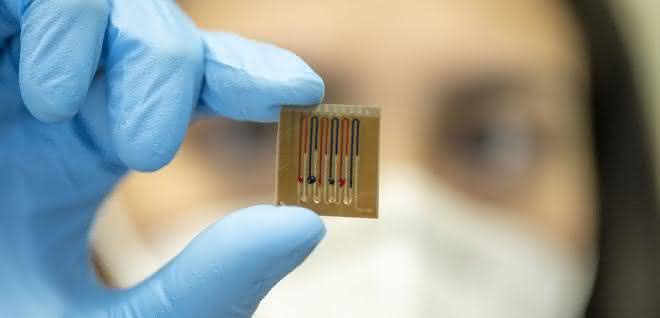 Mikrofluidik-Biosensor Person zeigt den Mikrofluidik-Biosensor