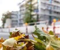 Baustellensicherheit: Tipps für eine sichere Baustelle im Herbst