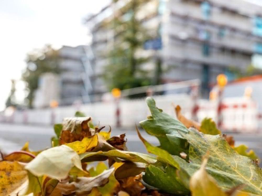 Baustellensicherheit: Tipps für eine sichere Baustelle im Herbst