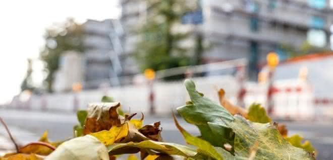 Baustellensicherheit: Tipps für eine sichere Baustelle im Herbst
